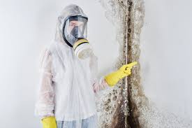 Mold Remediation for Rental Properties in Paddock Lake, WI